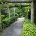 Kaipara Coast Sculpture Gardens Entry Ticket - Exploring the Sculpture Gardens: A Detail-Oriented Overview