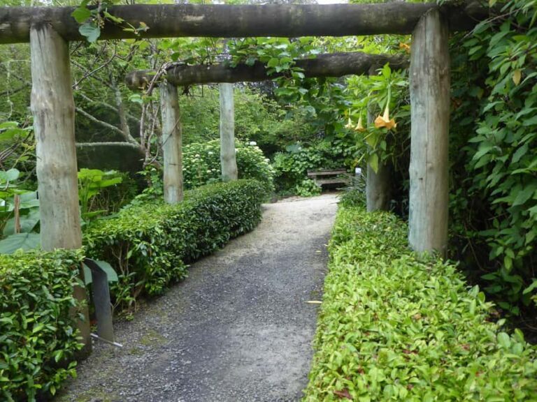 Kaipara Coast Sculpture Gardens Entry Ticket - Exploring the Sculpture Gardens: A Detail-Oriented Overview
