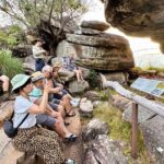Kakadu Wildlife Escape Fogg Dam or Crocodile Cruise from Darwin - Wildlife and Crocodile Spotting: The Heart of the Day