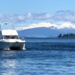 Kakariki Day Time Cruise to Maori Rock Carvings - What to Expect from the Itinerary