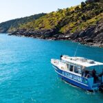 Kangaroo Island 75-Minute Coastal Safari - Wildlife Spotting: What You Can Expect