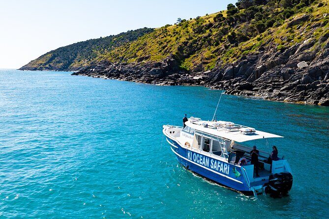 Kangaroo Island 75-Minute Coastal Safari - Wildlife Spotting: What You Can Expect