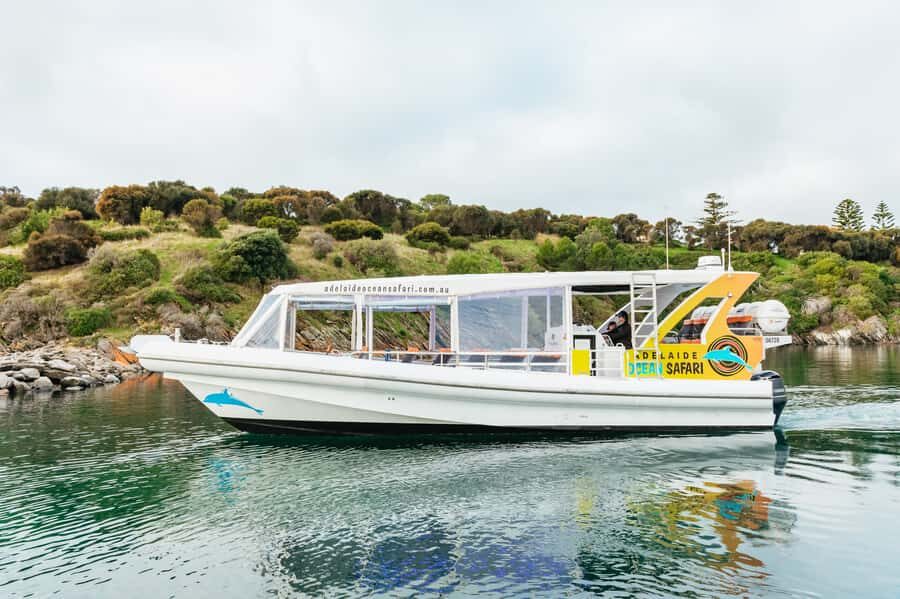 Kangaroo Island: 75-Minute Coastal Safari - The Value of the Tour: Is It Worth It?