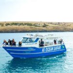 Kangaroo Island: Dolphin, Seal, and Swimming Boat Tour - Why This Tour Appeals