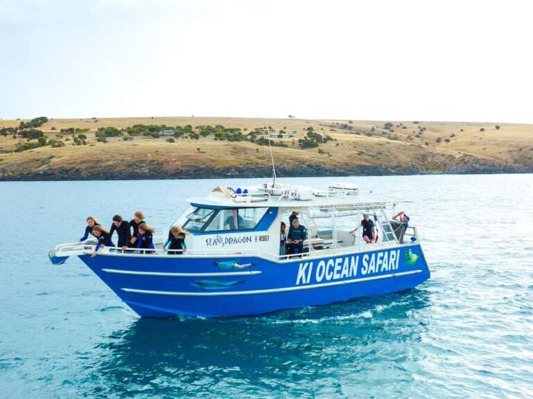 Kangaroo Island: Dolphin, Seal, and Swimming Boat Tour - Why This Tour Appeals