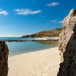 Kangaroo Island: Full-Day Guided Island Life Tour - Wildlife Encounters: Up Close and Personal