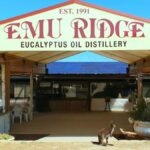 Kangaroo Island: Half-Day Tour Guided Coach Tour - Analyzing the Value