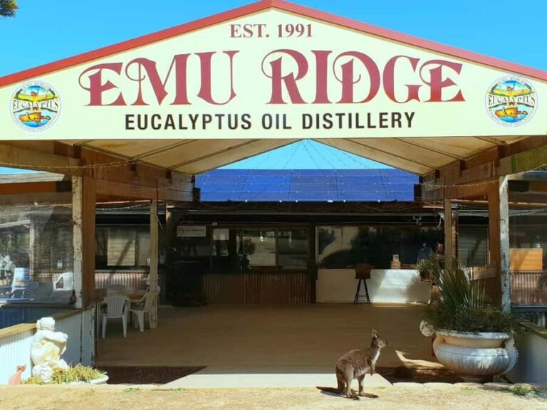 Kangaroo Island: Half-Day Tour Guided Coach Tour - Analyzing the Value