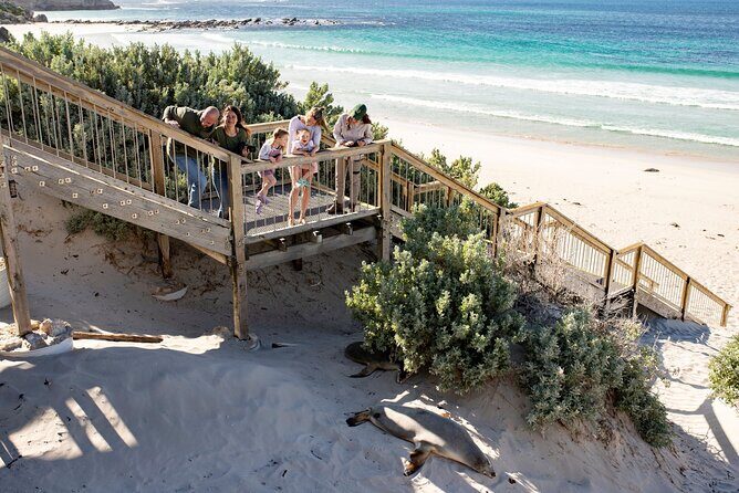 Kangaroo Island in a Day Tour from Adelaide - Value and Cost Analysis