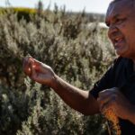 Kangaroo Island: Indigenous Day Tour - Price and Value Analysis