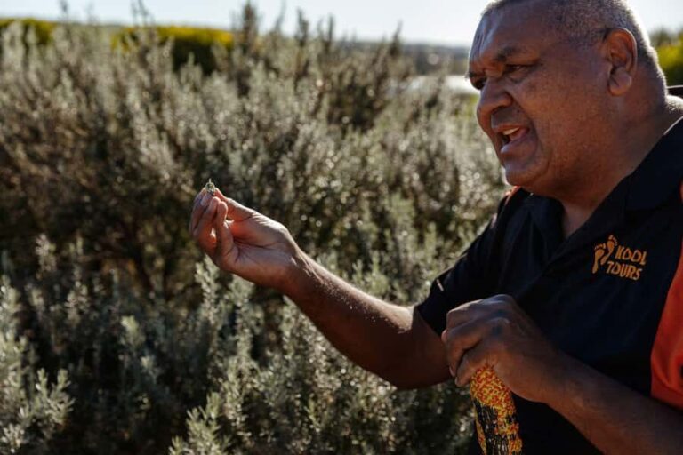 Kangaroo Island: Indigenous Day Tour - Price and Value Analysis