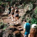Kangaroos, 6 Springbrook Waterfalls and Natural Bridge Day Tour - Who Will Love This Tour?
