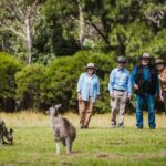 Kangaroos and Koala Experience Tour - Practical Tips for Travelers