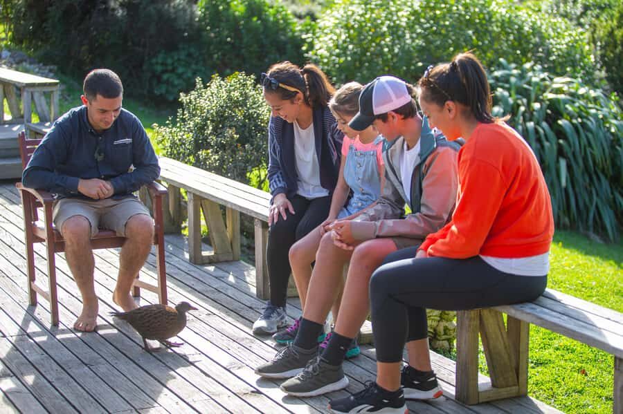 Kapiti Island: Classic Guided Day Tour - Authentic Encounters and What Travelers Say