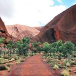 Kata Tjuta Private Guided Sunrise Tour - Who Should Consider This Tour?