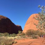 Kata Tjuta: Small Group Sunrise Tour with Picnic Breakfast - Transportation, Group Size, and Value