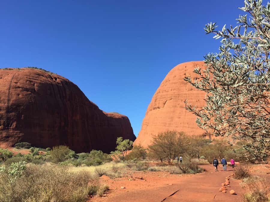 Kata Tjuta: Small Group Sunrise Tour with Picnic Breakfast - Transportation, Group Size, and Value