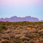 Kata Tjuta: Valley of the Winds Circuit Hike - The Value Proposition: Is It Worth It?