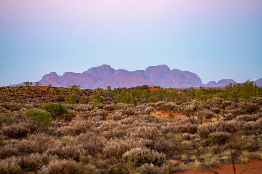 Kata Tjuta: Valley of the Winds Circuit Hike - The Value Proposition: Is It Worth It?