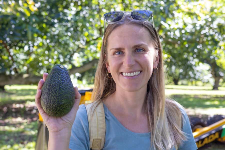 Katikati: Guided Gourmet Avocado Tour - Who Is This Tour For?