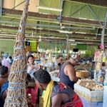 Kava Factory Tour and Flavored Kava Tasting Experience - Exploring the Kava Factory Tour in Nadi