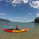 Kayak Turtle Tour from Palm Cove - A closer look at the experience