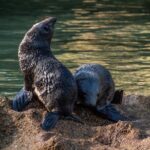 Kayak & Walk - Practical Information for Travelers