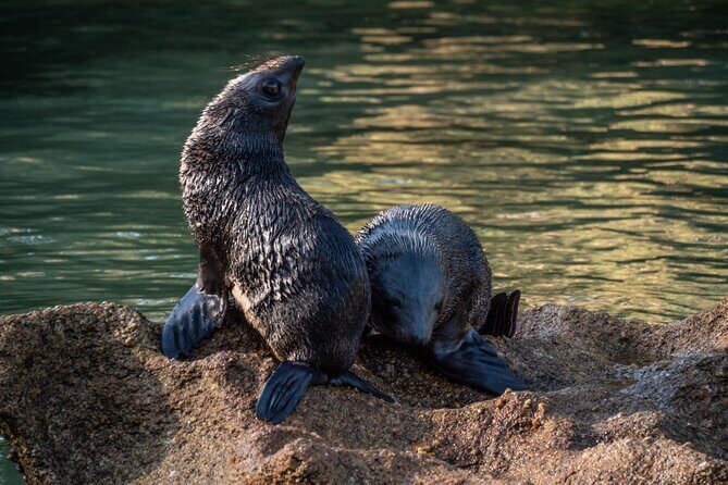 Kayak & Walk - Practical Information for Travelers