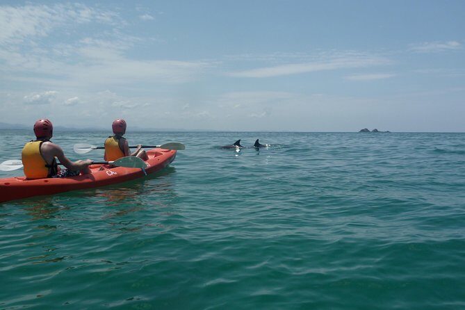 Kayaking with Dolphins in Byron Bay Guided Tour - The Itinerary in Detail