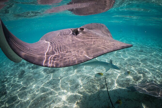 Keishi Tour Half Day Shared Excursion - FAQ