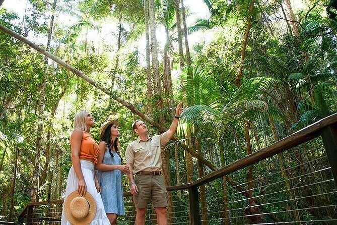 K'Gari (Fraser Island) 3-Day Getaway from Hervey Bay + Illumina - What’s Included and How It Benefits You