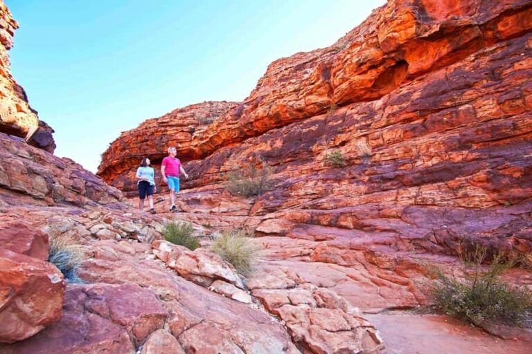 Kings Canyon: Full-Day Tour from Ayers Rock Resort - What Guides and Travelers Say