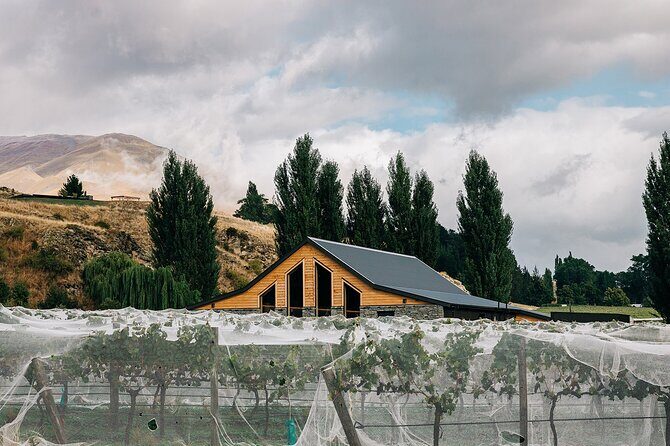 Kinross Winery: Pinot Noir Wine Tasting Experience - Who Should Book This Experience?