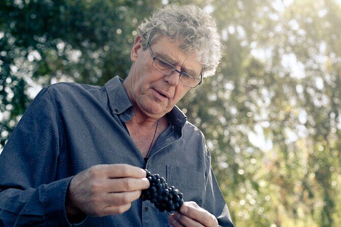 Kinross Winery: Valli Wine Tasting Experience - Who Will Love This Experience?