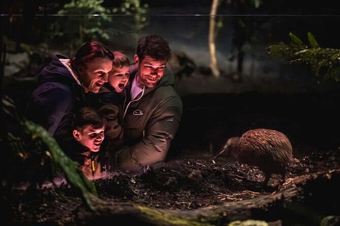 Kiwi Park Queenstown Admission - The Practical Side: Tips & Considerations