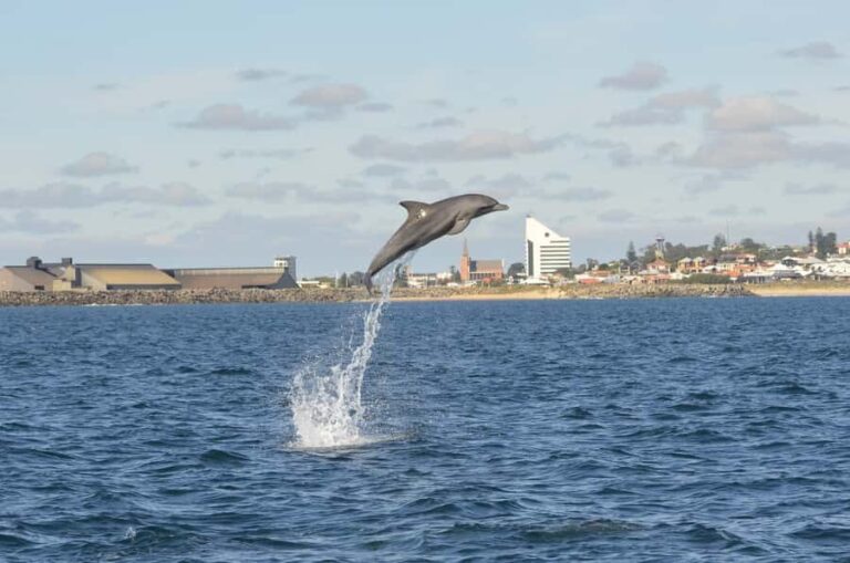 Koombana Bay: Dolphin Eco Cruise - Who Will Love This Tour?