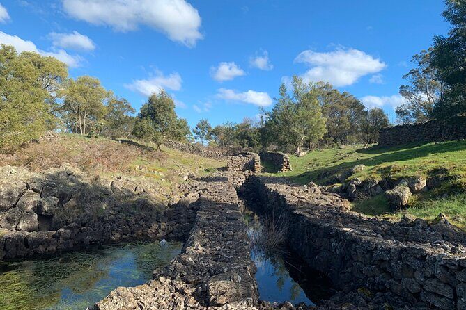 Kooyang Yana Full Day Tour - Budj Bim - A Thorough Breakdown of the Experience