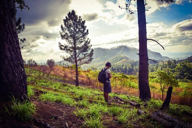 Koroyanitu National Heritage Park Fiji - Hike - Waterfall - The Itinerary in Detail