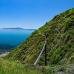 Kpiti Coast: Escarpment Track Guided Hiking Tour, Coffee + Lunch - The Experience’s Strengths: What Travelers Will Love