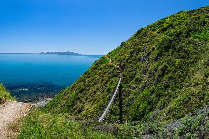 Kpiti Coast: Escarpment Track Guided Hiking Tour, Coffee + Lunch - The Experience’s Strengths: What Travelers Will Love