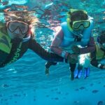 Kuata Island Marine Conservation Experience with Lunch - Why This Tour Offers Genuine Value