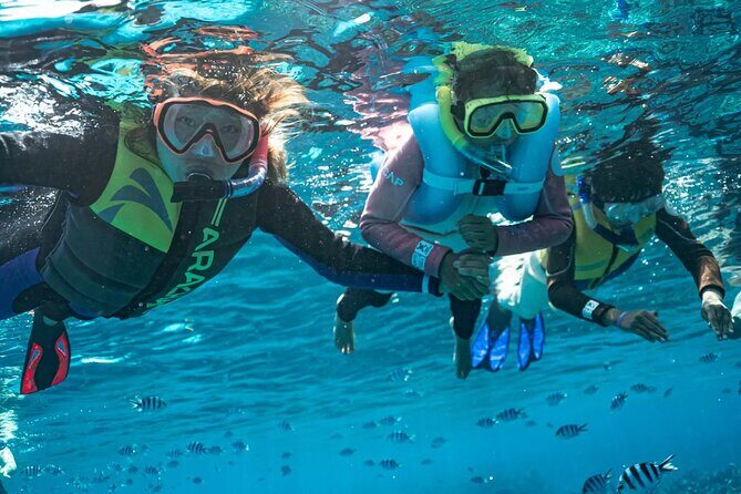 Kuata Island Marine Conservation Experience with Lunch - Why This Tour Offers Genuine Value