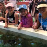 Kula Eco Park Admission - The Experience at Kula Eco Park: What to Expect