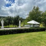 Kumeu Wine Tour - The Experience You Can Expect