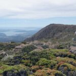 Kunanyi & Mt Wellington Explorer Bus: One-Way Bus Pass - Who Is This Tour Best For?