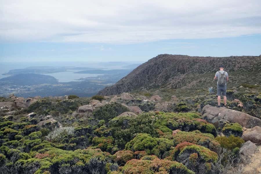 Kunanyi & Mt Wellington Explorer Bus: One-Way Bus Pass - Who Is This Tour Best For?