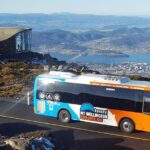 kunanyi/Mt Wellington Explorer Bus - One Way Tour - Value and Practicalities
