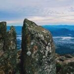 kunanyi/Mt Wellington Tour and MONA Admission - Who Should Consider This Tour?