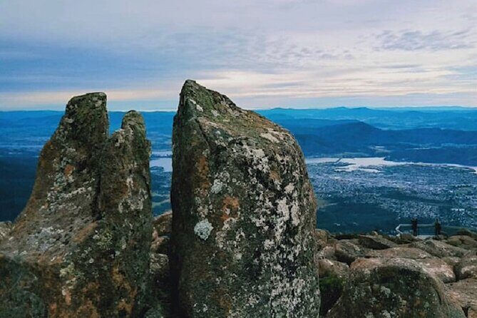 kunanyi/Mt Wellington Tour and MONA Admission - Who Should Consider This Tour?