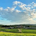 Kuranda: 60 minute Guided Horse Trail Ride & Petting Farm - The Itinerary Breakdown